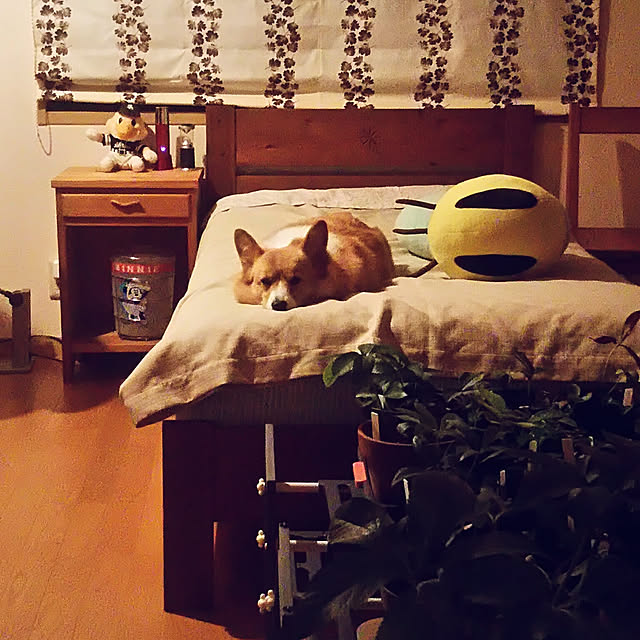 tenntennさんの実例写真