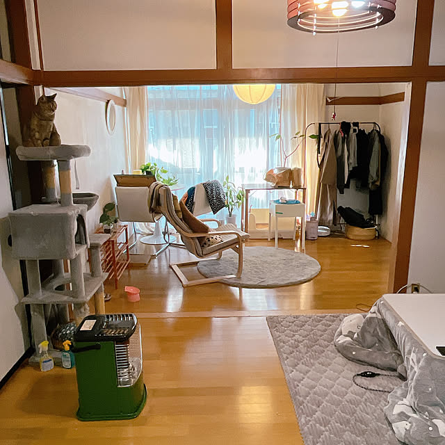 cocoさんの実例写真