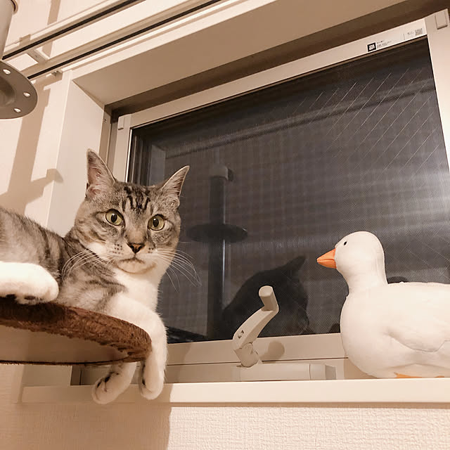muuさんの実例写真