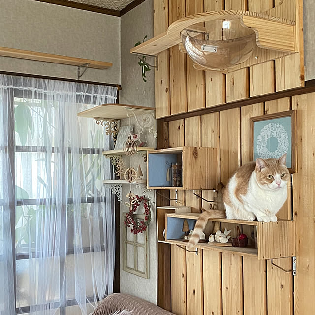mintteaさんの部屋