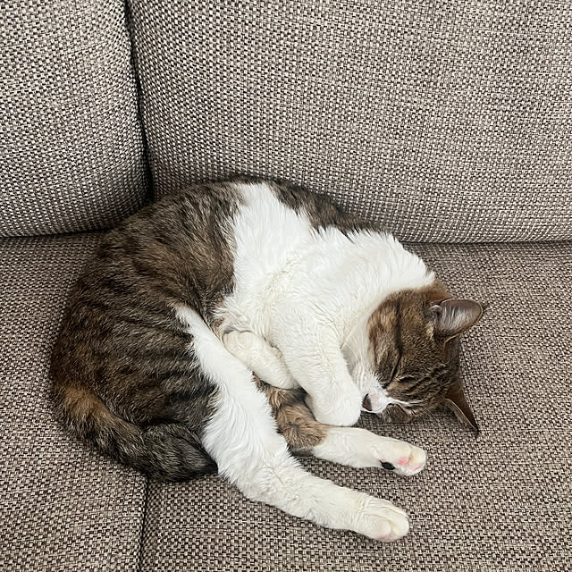 tiroさんの部屋