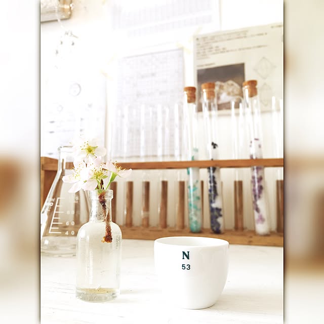 rietiさんの実例写真