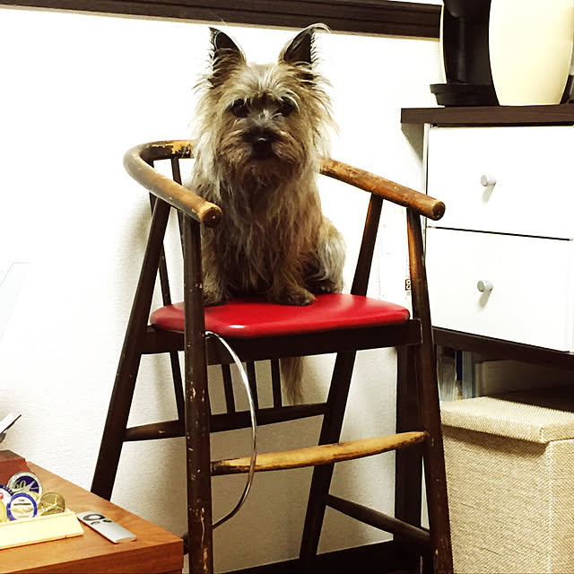 Jacopasboomさんの実例写真
