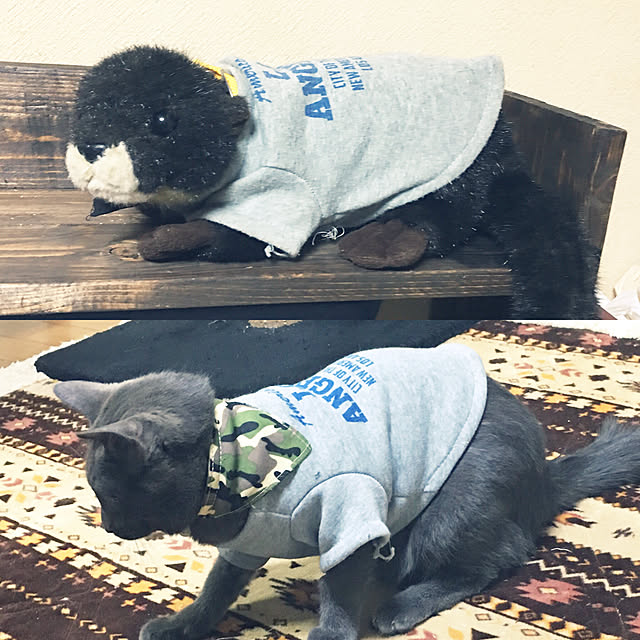 kmakkyiさんの実例写真