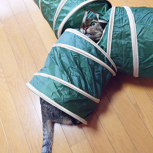 nachiさんの実例写真