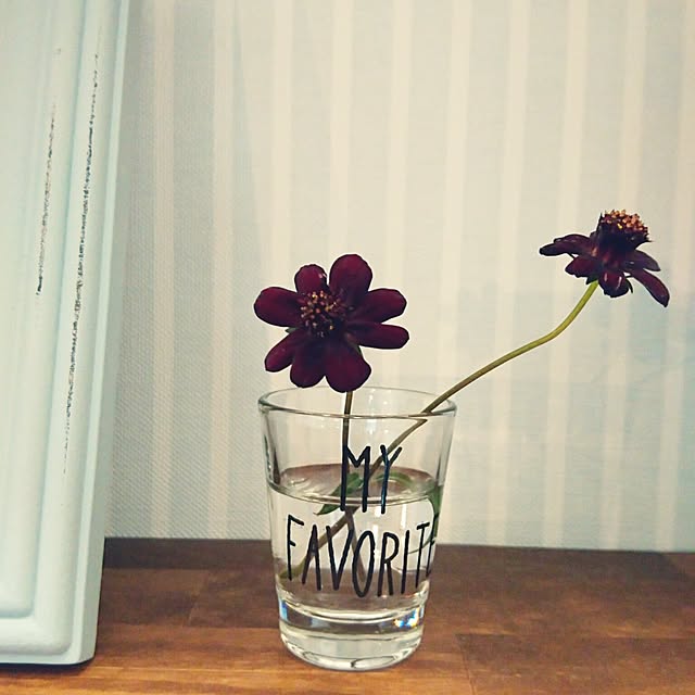 s_h_yさんの実例写真