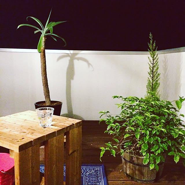m.nさんの実例写真