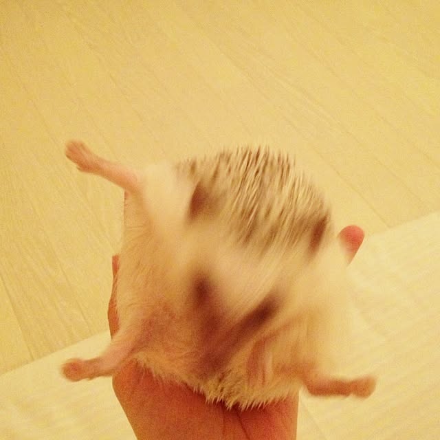 rntkmrさんの実例写真