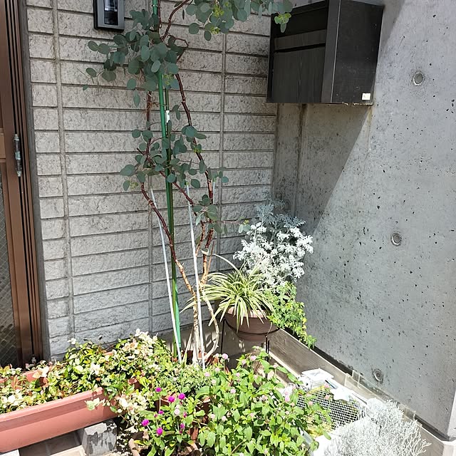 pua.dekoさんの部屋
