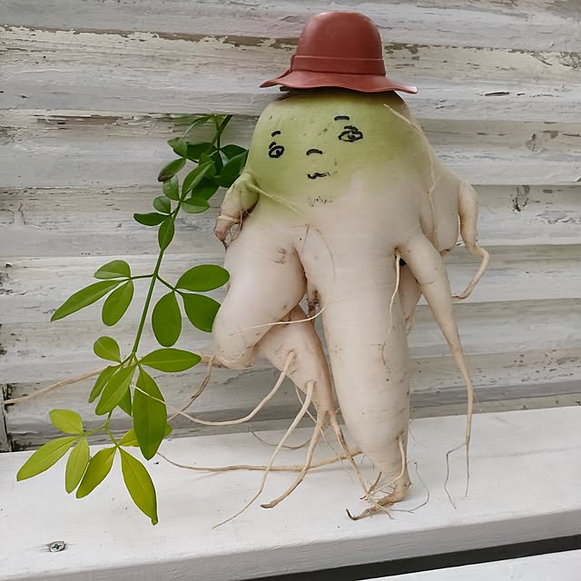 mind_komaさんの実例写真
