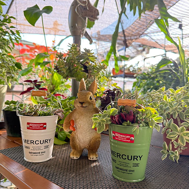 Aqettyさんの実例写真