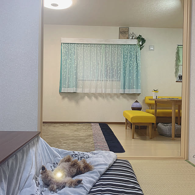 Samさんの実例写真