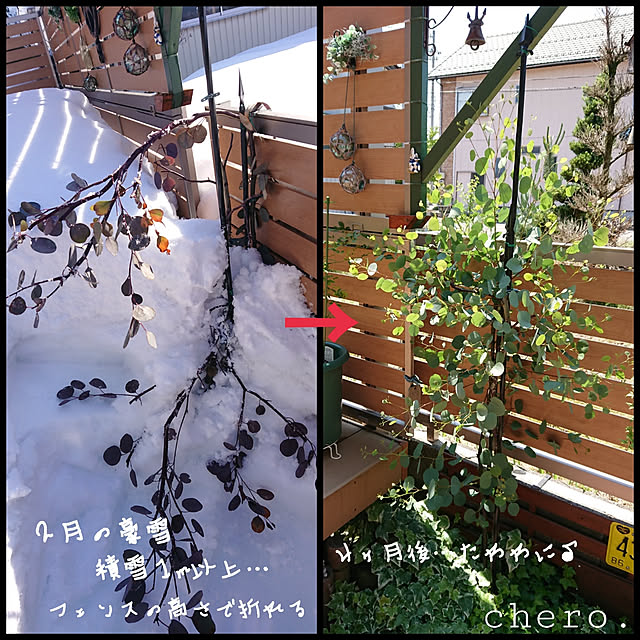 chero.さんの実例写真