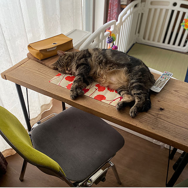 mikomaruさんの実例写真