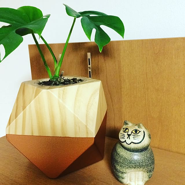 Maklokinakaさんの実例写真