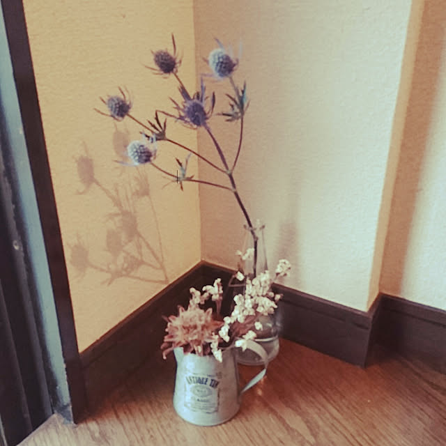 aoirohaさんの実例写真