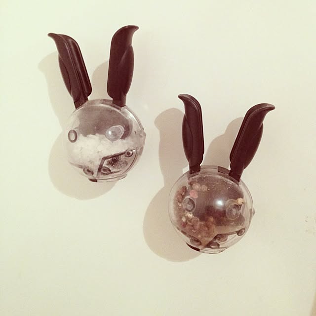 dicekbeetleさんの実例写真