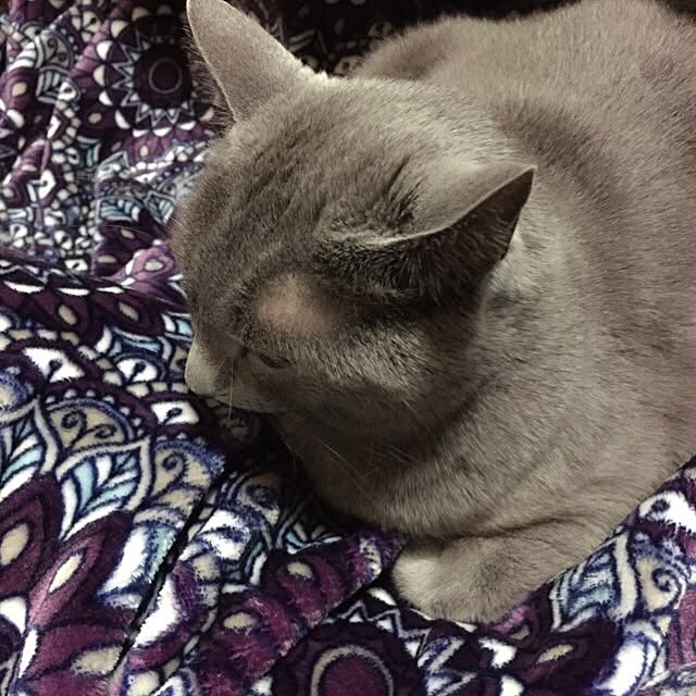 Hanaさんの実例写真