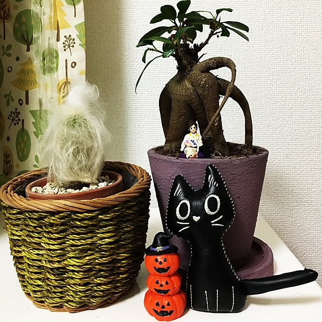 atsukunさんの実例写真