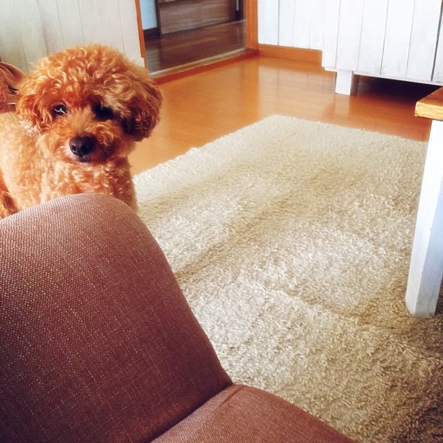 rookuさんの実例写真
