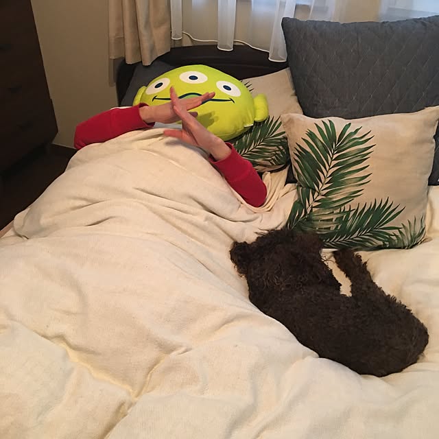 Masakoさんの実例写真