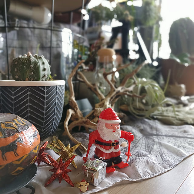 実例写真