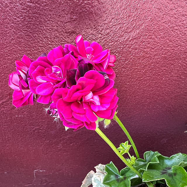 AYUKOさんの部屋