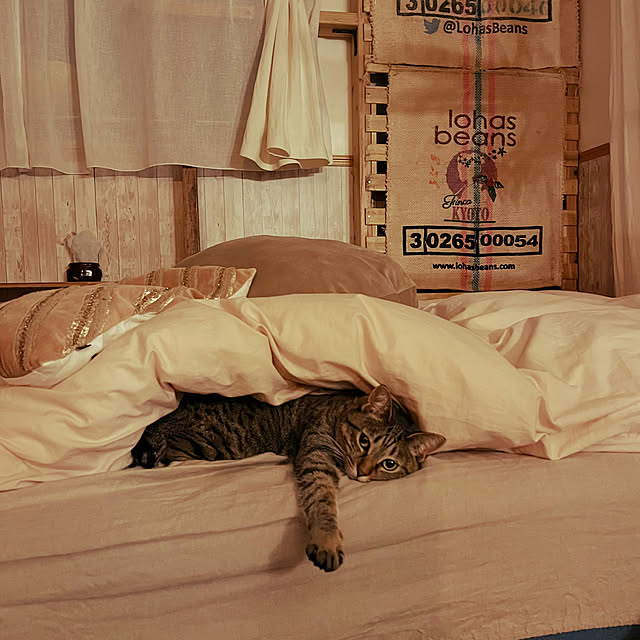 Mさんの実例写真