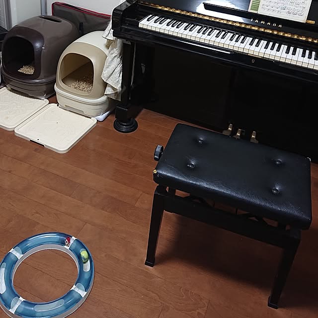 NOAHさんの部屋