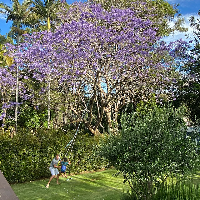 suaustraliaさんの実例写真
