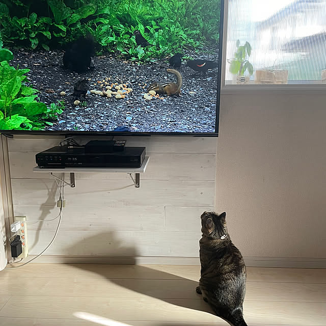 t-famさんの実例写真
