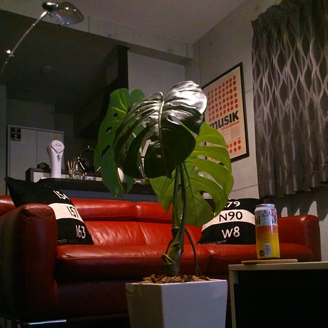 paneraiさんの実例写真