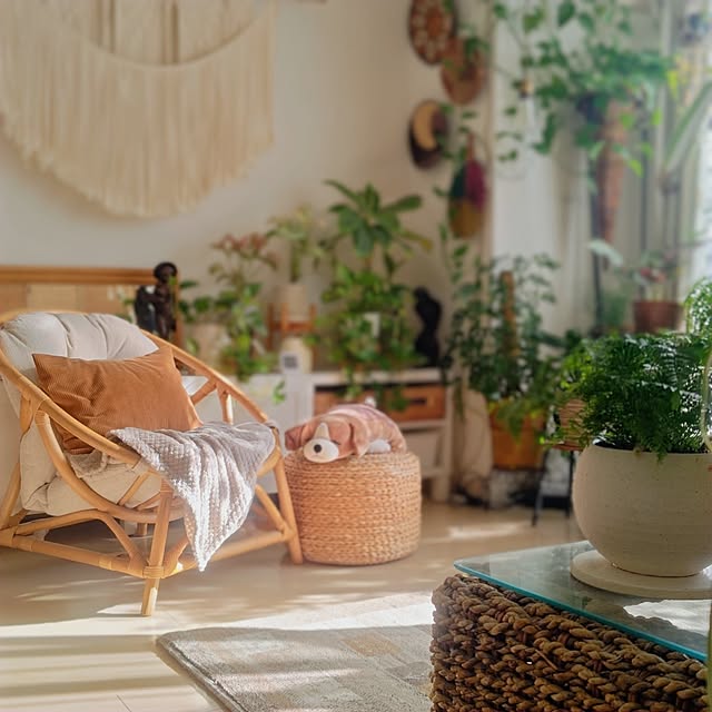 YuriYuriさんの実例写真