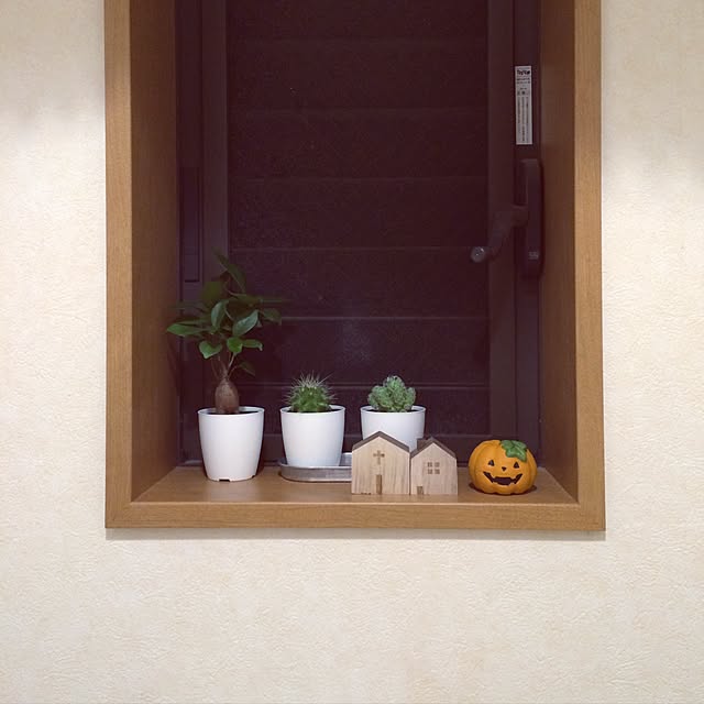 miwaさんの実例写真