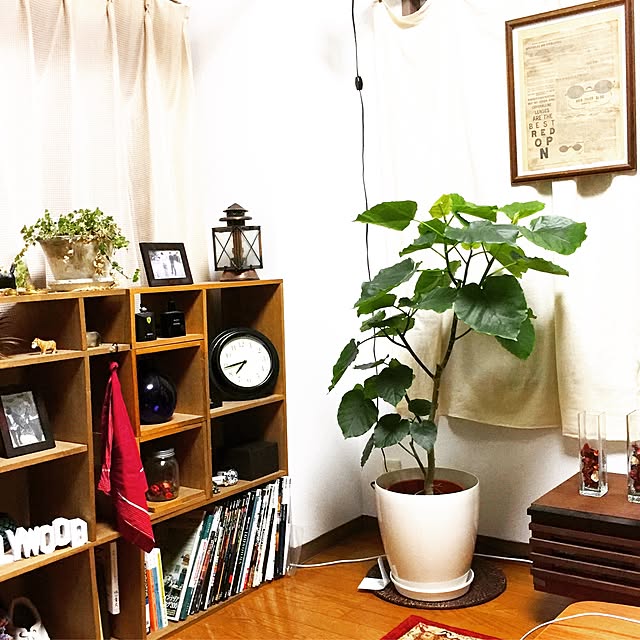 peishun02さんの実例写真