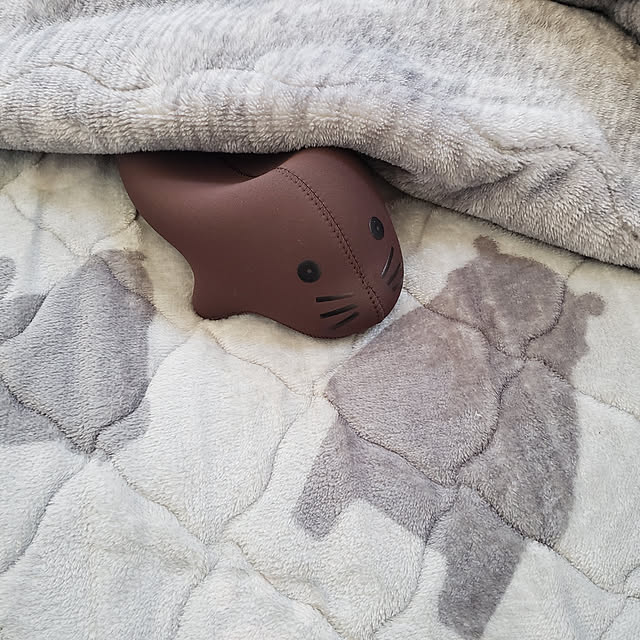 sayasayaさんの実例写真