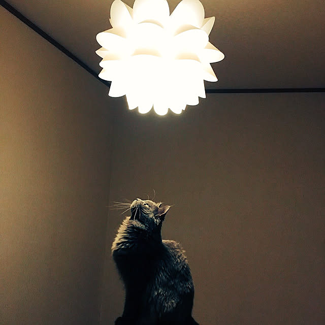hanioさんの実例写真