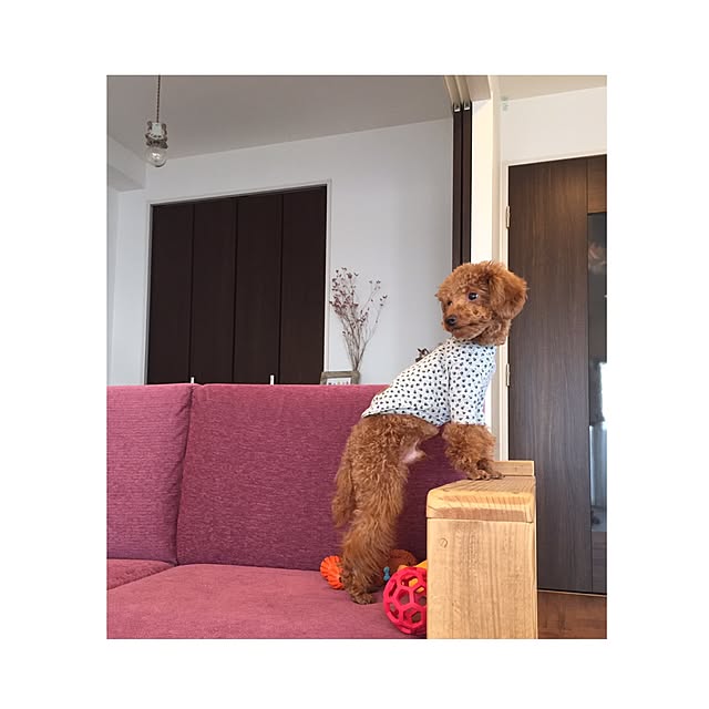 chihooo.sさんの実例写真
