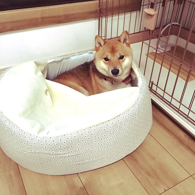 hanakoさんの実例写真