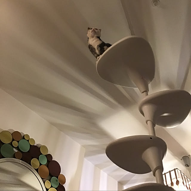 tachan0908さんの実例写真