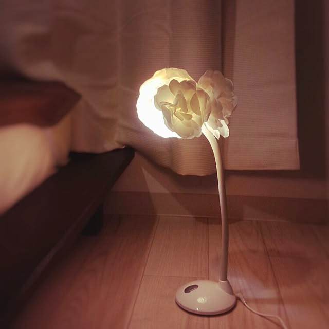 momokoさんの実例写真