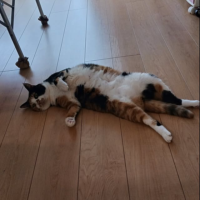 aiさんの部屋