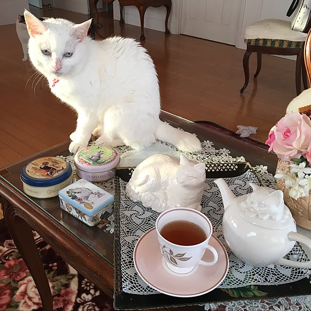 sakuraさんの実例写真