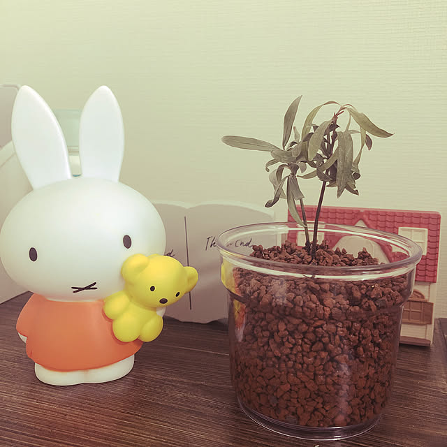 hemhemさんの実例写真