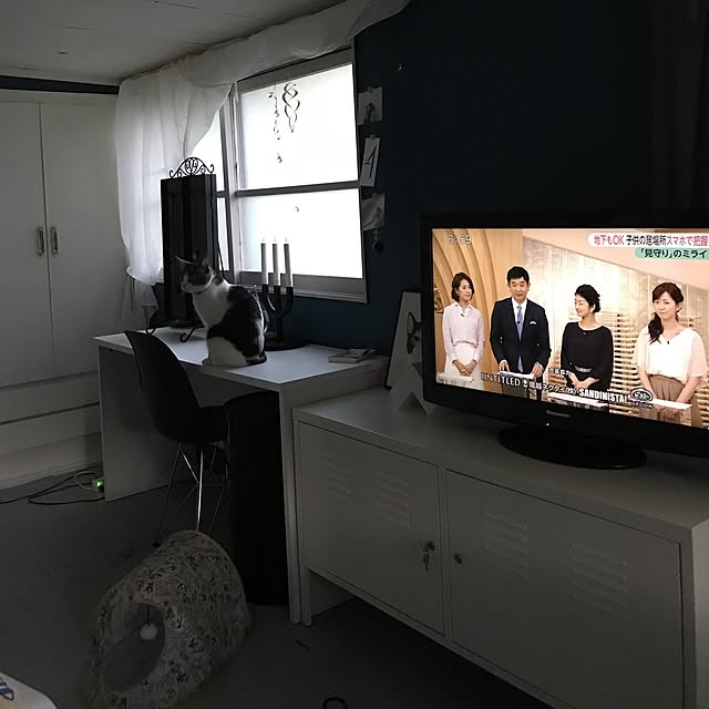 Shihoさんの実例写真