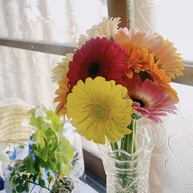 yukiさんの実例写真