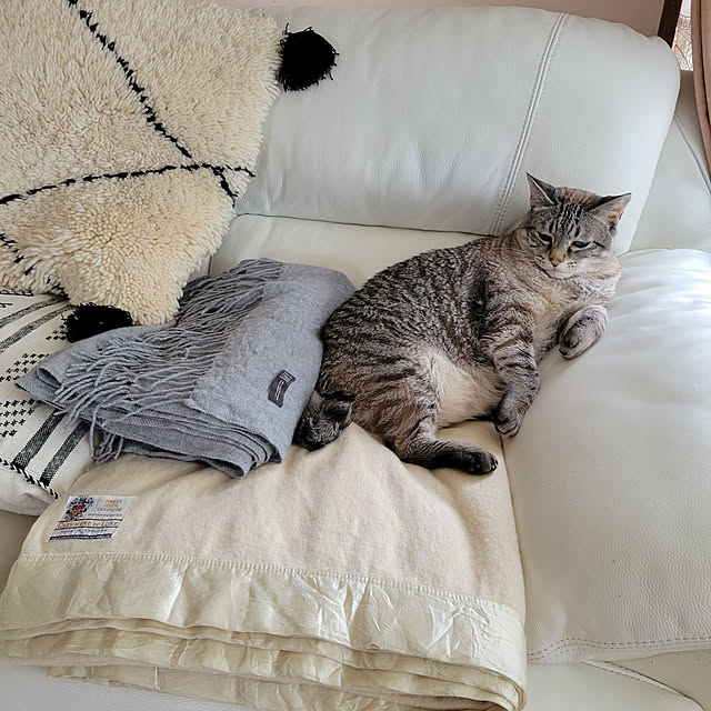 neoさんの実例写真