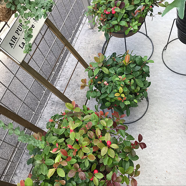 MIUさんの実例写真