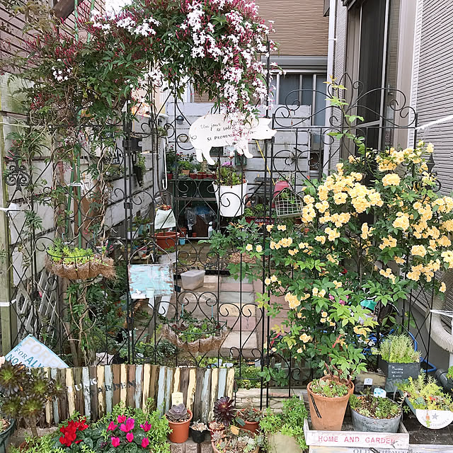 実例写真