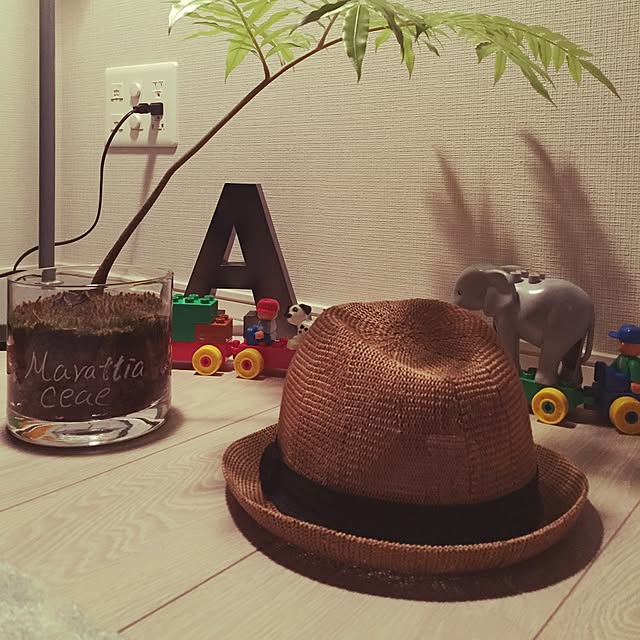 amerister1983さんの実例写真